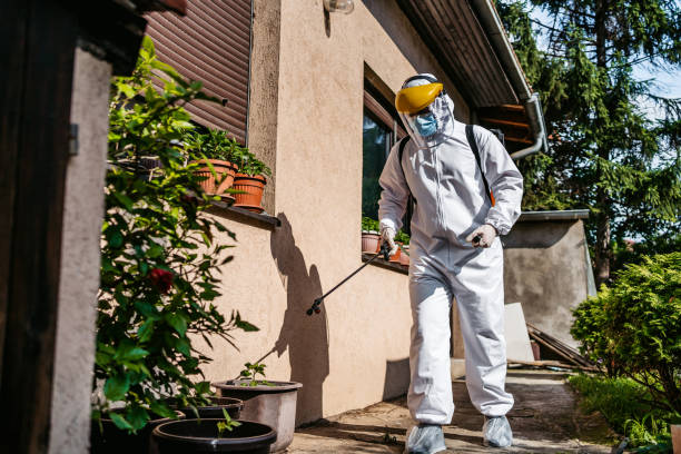 Best Local Pest Control Services  in Arnold Line, MS