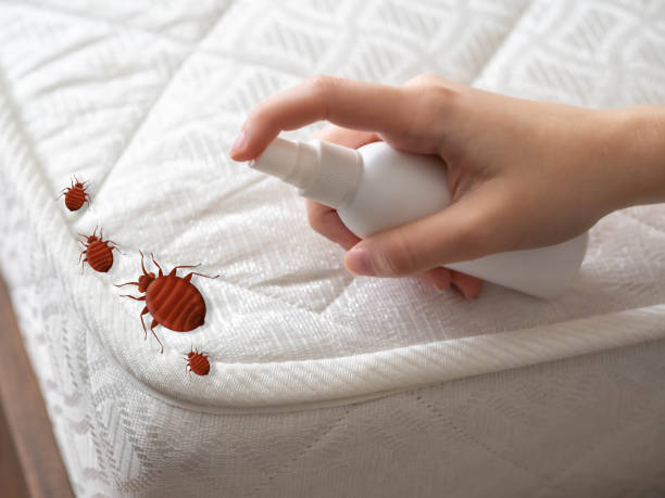 Best Best Pest Control Companies  in Arnold Line, MS