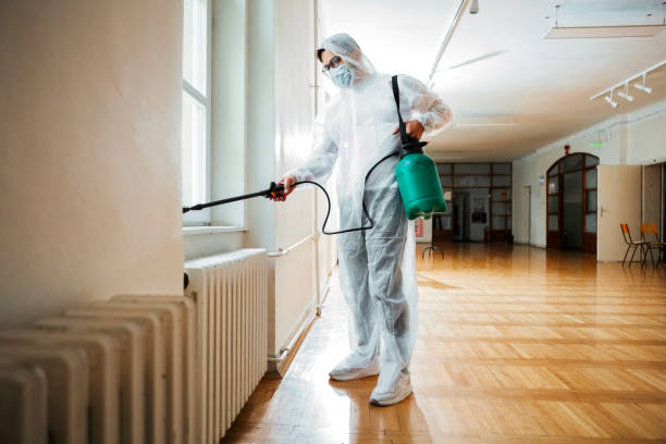 Best Bed Bug Extermination  in Arnold Line, MS