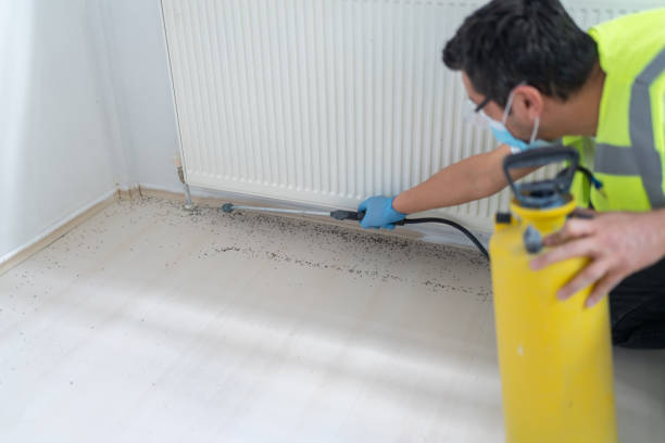 Best Termite Control Services  in Arnold Line, MS